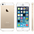 Смартфон Apple iPhone 5S 16GB CDMA/GSM